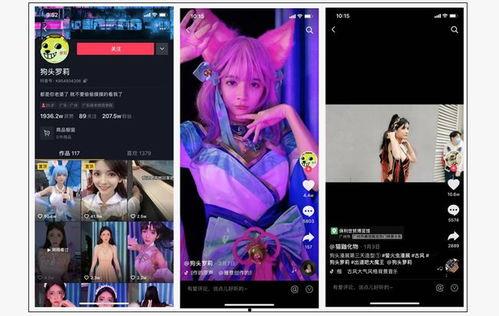 呆呆的爆料视频大全集免费观看,揭秘幕后真相，免费观看大揭秘  第1张